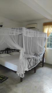 Cozy villa with a garden - Mirissa - 1