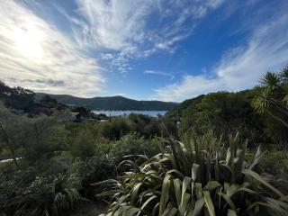 Picturesque Waikawa - Picton Holiday Home - Picton - 8