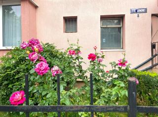 Traveler's Nest in the Mountains - Braşov - 4