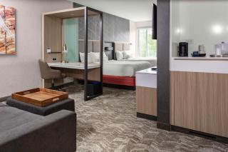 SpringHill Suites by Marriott Suwanee Johns Creek - Suwanee - 8