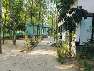 Daomasar Eco Resort - Jyoti Gaon - 8