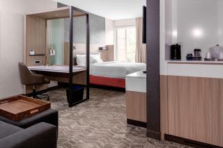 SpringHill Suites by Marriott Suwanee Johns Creek - Suwanee - 7
