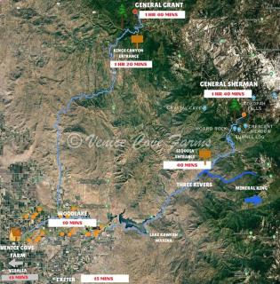 Luxurious Honeymoon Suite in a Private Villa- Fresh Citrus & High Speed Wifi - 4