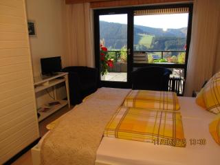 Pension Altenbeck & Ferienwohnung - Winterberg - 5