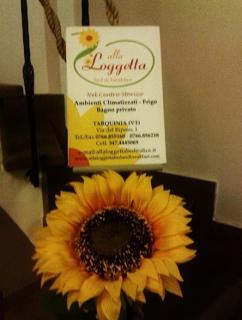 Bed & Breakfast ALLA LOGGETTA - 8