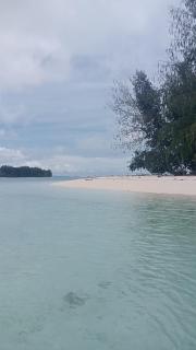 Yef Nabi Homestay - 1