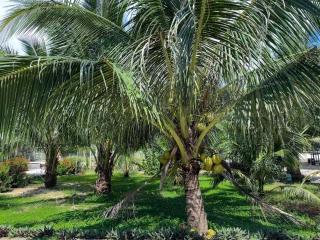 AN THINH Hotel & Homestay - Bình Tú - 2
