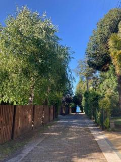 Molco, con piscina y acceso lago - 6