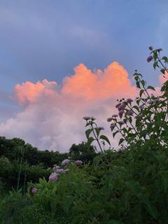 Minpaku Yururi - Yakushima - 3