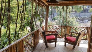 The Divine Hima Homestay - Dharamsala - 8