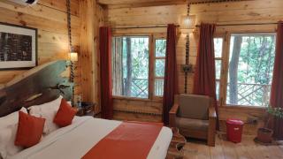 The Divine Hima Homestay - Dharamsala - 7