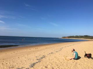 Sunny Ventnor Cottage with Retro Vibe 400m to Beach - Ventnor - 7