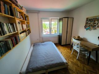 A family house at the outskirts of Fruska Gora, Novi Sad! - Sremska Kamenica - 3