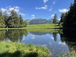 Un spacieux et confortable châlet - 4