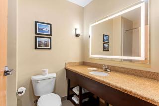 Comfort Suites - Gulfport - 3