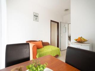 Apartments Milic - One Bedroom Apartment with Sea View and Terrace - Gornji Karin - 9