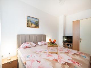 Apartments Milic - One Bedroom Apartment with Sea View and Terrace - Gornji Karin - 3