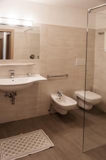 Appartement- und Wellnesshotel Winkler - Pfalzen - 5
