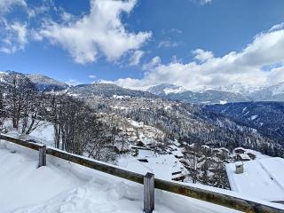 Sentio Chalet - Ollon - 3