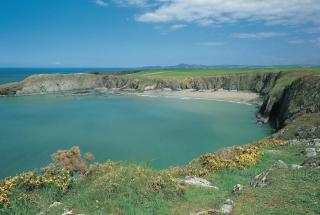Sea View Lodge Porthgain - Llanrian - 6