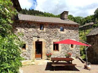 Gite de montredon - Cubières - 9