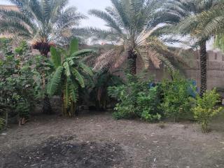 ريف سوق نزوى - 3