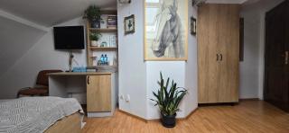 Mika Room - Cluj-Napoca - 8