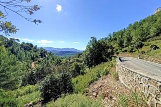 Grand T2, RDC avec jardin - 2