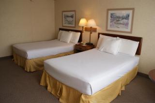 SureStay Plus Hotel by Best Western Jasper - Jasper - 6