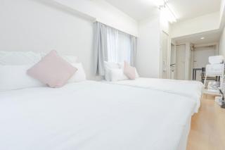 Cozy home near Imperial Palace & Budokan in Central Kudanminami DLoE - Tokyo - 0