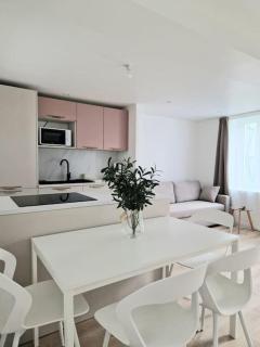 NEW Bel appartement avec jardin - Puyoô - 7