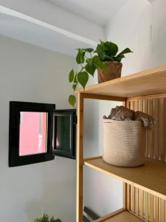 Apartamentos San Telmo - 3