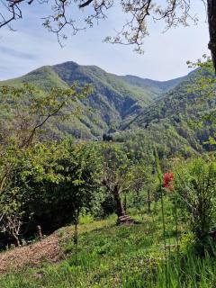 Casa Piccola - Falmenta - 1