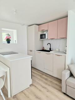 NEW Bel appartement avec jardin - Puyoô - 8