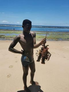 Unit 12 PC Lodge - Chidenguele - 2