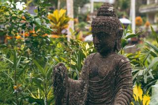 Lumeria Yoga - Ubud - 4