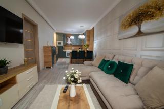 Exclusive Cozy Apartment Adora Park Arad - Arad - 2