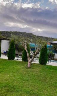 Villa Olive Tree - 4