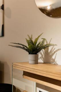 Nest Inn Silhouette Apartment - Cluj-Napoca - 7
