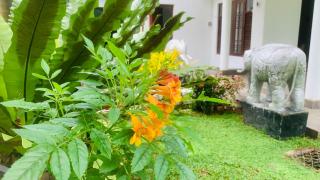 Elysian home villa - Madiwala - 7