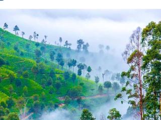Awinco Haputale - Haputale - 2