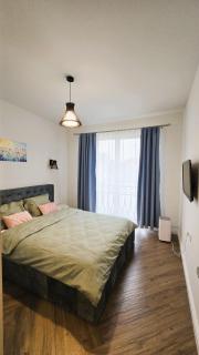 Emily Apartment - Satu Mare - 5