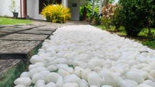 Elysian home villa - Madiwala - 2