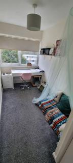 Comfortable and Convenient - Hatfield - 5