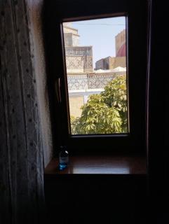 Damir Nur Guest House - Samarkand - 8