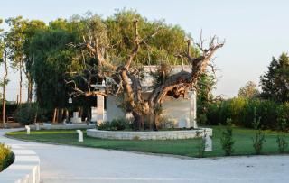 Private Villa Zammarrico with swimming pool in Puglia - Francavilla Fontana - 7