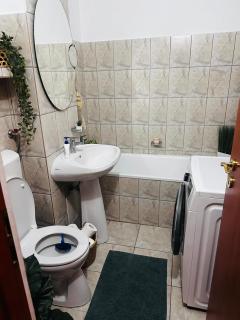 Apartament Zamca - langa Regina Maria - Suceava - 1