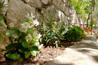 Apartment Milena - Trogir - 2