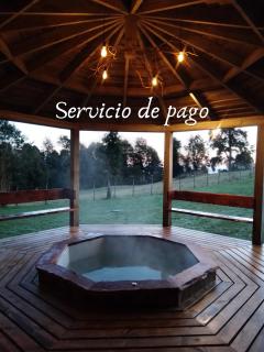 Lodge El Taique - Puyehue - 1