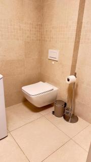FamilyVilla, new 4 Luxury Big Apartments, parking - Prag - 1